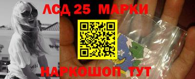 мет Можга