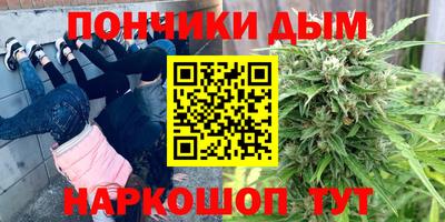 стаф Моздок