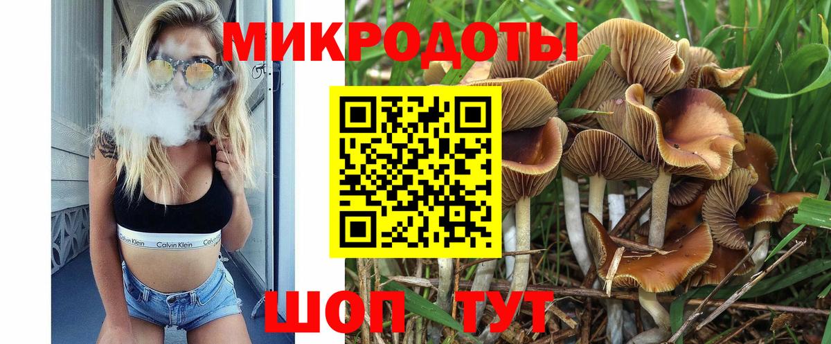 Псилоцибиновые грибы мицелий Учалы